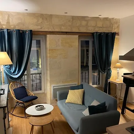Appartement Quai Chartrons Vue Garonne Bordeaux